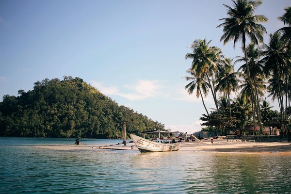 Uncover edinburgh"s majestic palaces: the ultimate guide to top-rated guided tours